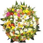 Foto 1 - Anncio 45-480387