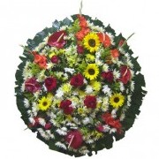 Foto 2 - Anncio 45-480387
