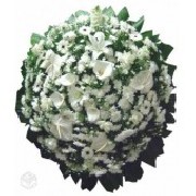 Foto 3 - Anncio 45-480387