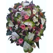 Foto 4 - Anncio 45-480387