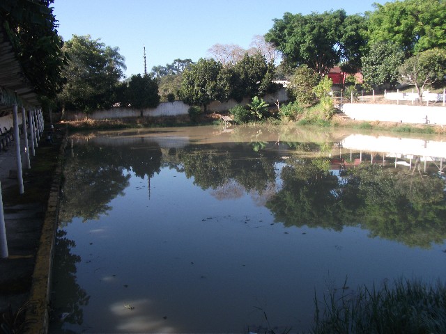 Foto 1 - Pesqueiro com piscina em Suzano